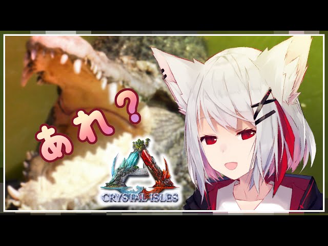 【#にじARK】 라코○테?🐊ラコ○テじゃん【Crystal Isles】のサムネイル