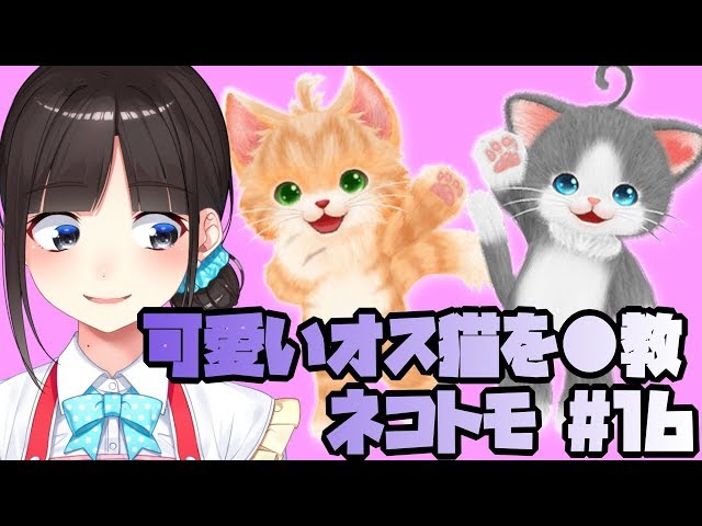 可愛いオス猫を調●　ネコトモ#16のサムネイル