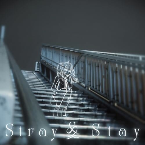 Stray & Stay