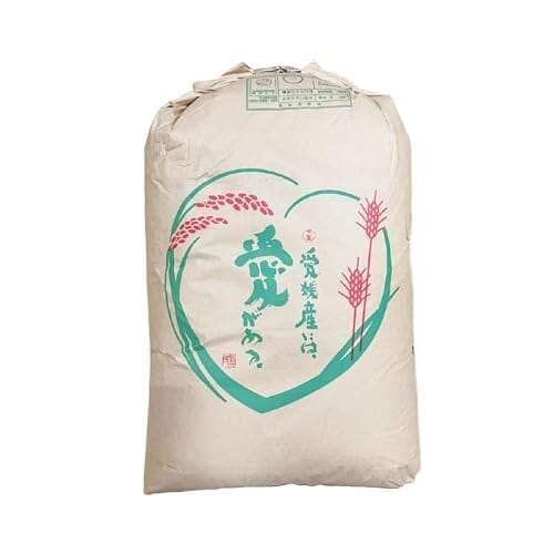 令和7年愛媛県産にじのきらめき 玄米 30kg